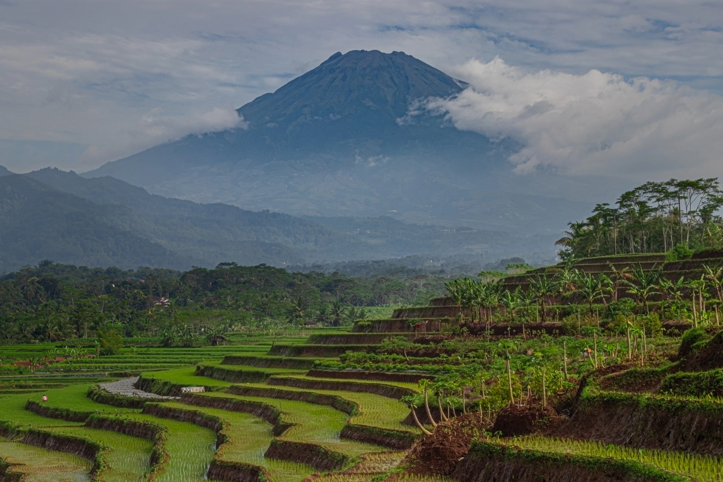 Magelang[1].webp